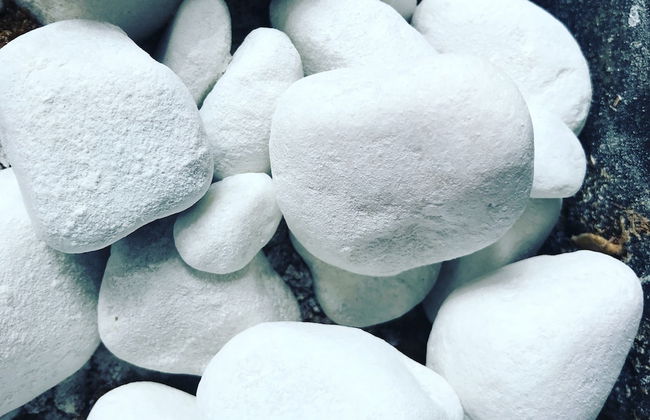 Asteria Studios - Photo 56