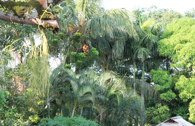 Asteria Studios - Photo 65