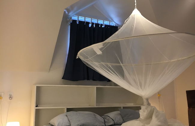 Asteria Studios - Photo 10