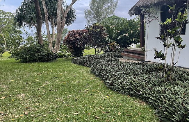 VILA DEL MARE - Photo 52