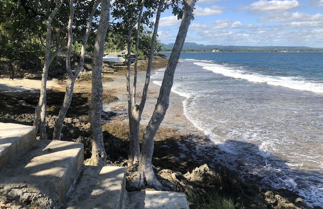 VILA DEL MARE - Photo 62