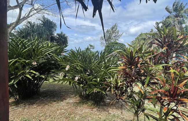 VILA DEL MARE - Photo 53