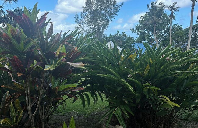 VILA DEL MARE - Photo 33