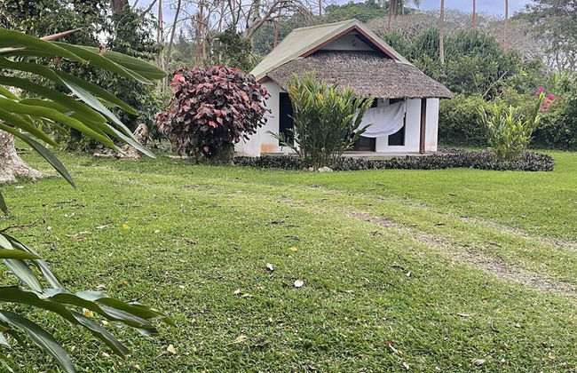 VILA DEL MARE - Photo 50