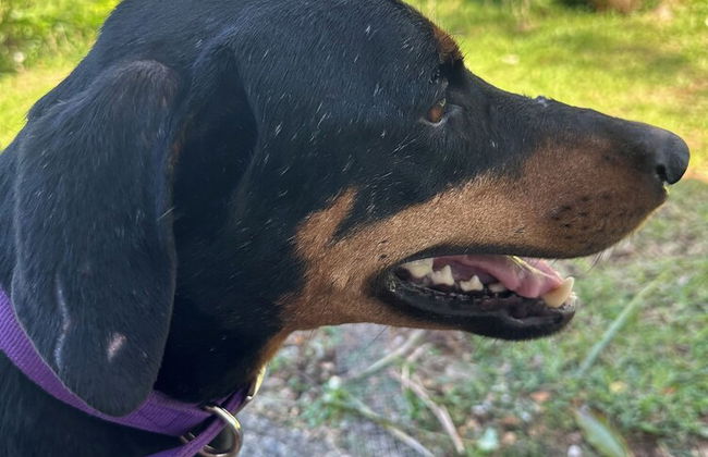 VILA DEL MARE - Photo 64