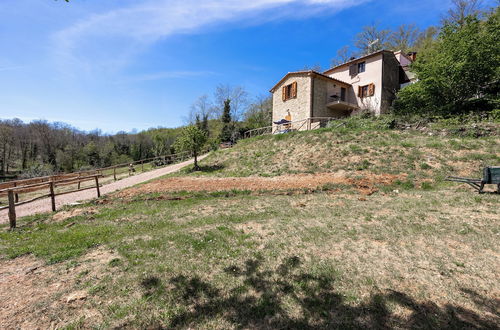 Photo 25 - Podere del Ciacchi Among Tuscany Greenery