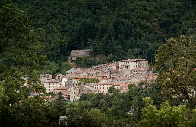 Podere del Ciacchi Among Tuscany Greenery - Foto 38