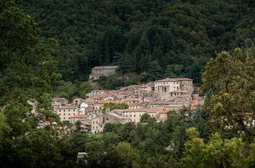 Photo 15 - Podere del Ciacchi Among Tuscany Greenery