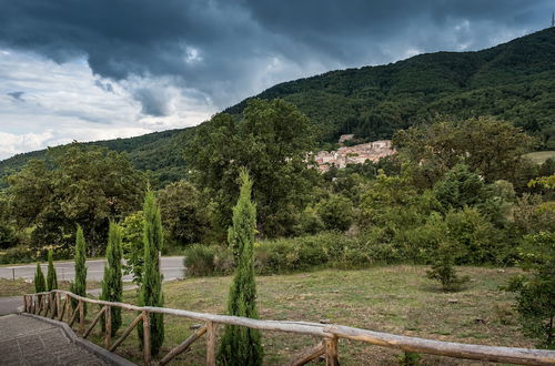 Photo 14 - Podere del Ciacchi Among Tuscany Greenery