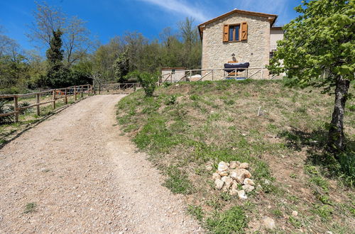 Photo 25 - Podere del Ciacchi Among Tuscany Greenery