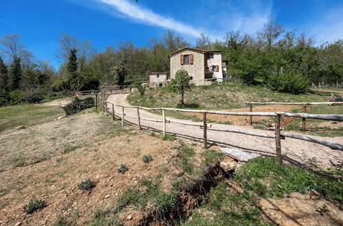 Photo 24 - Podere del Ciacchi Among Tuscany Greenery