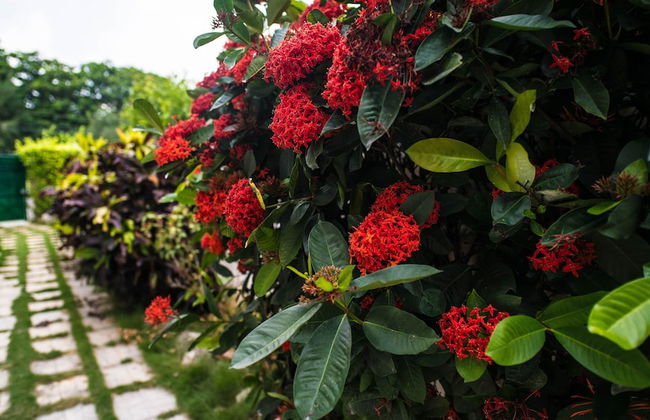 Casa Roque - Foto 24