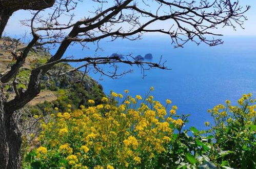 Photo 34 - Domus Smeraldo Terrace and sea View Amalfi Coast