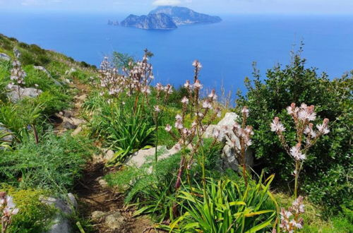 Foto 36 - Domus Smeraldo Terrace and sea View Amalfi Coast