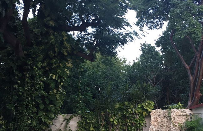 Villa in Havana with swimming pool and garden - Foto 8