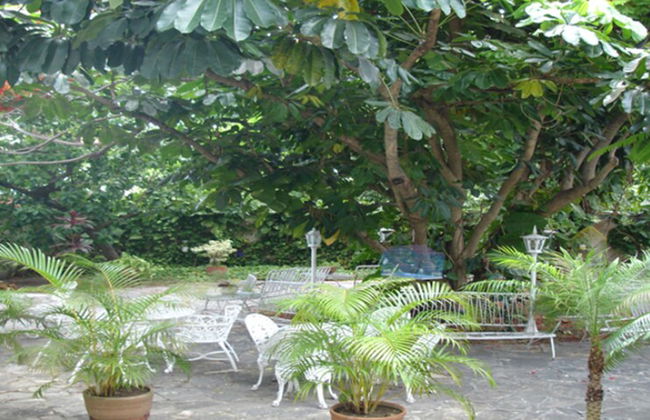 Villa in Havana with swimming pool and garden - Foto 13