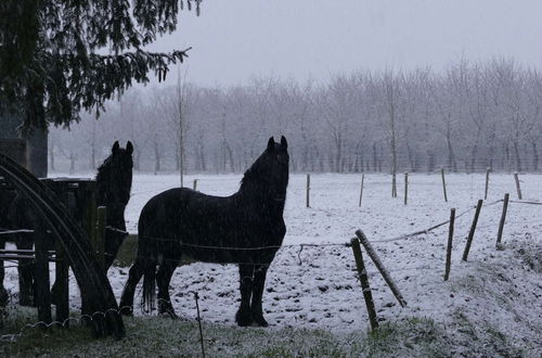 Foto 41 - Located Near Maastricht Towards the Belgium Border