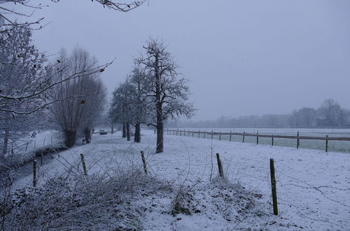 Foto 40 - Cosy Flat in South Limburg Near Maastricht