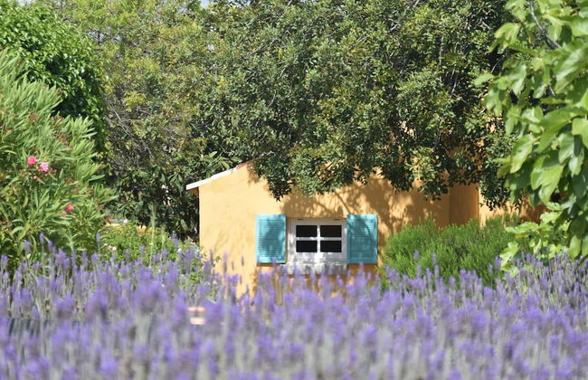 Elegant Loule Mansion With Pool - Foto 35
