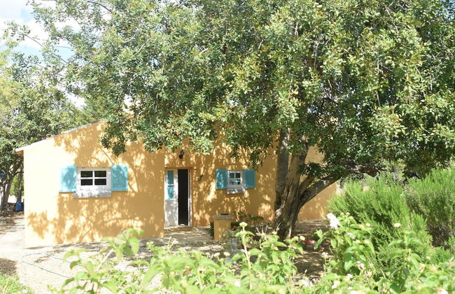 Attractive Portuguese Farm With Modern Decoration - Foto 25