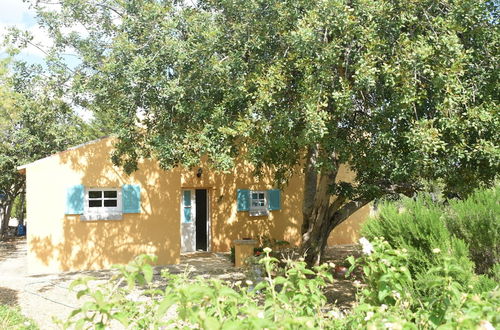 Photo 29 - Attractive Portuguese Farm With Modern Decoration