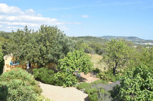 Photo 28 - Attractive Portuguese Farm With Modern Decoration