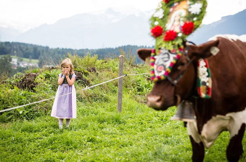 Photo 35 - Holiday Home in Saalfelden