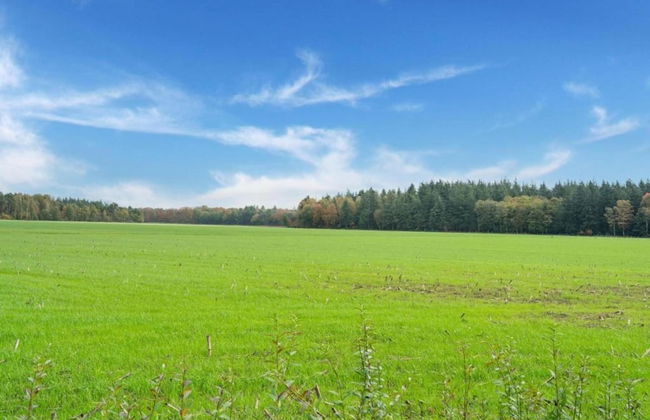 Tranquil Goirle Countryside Home - Foto 32
