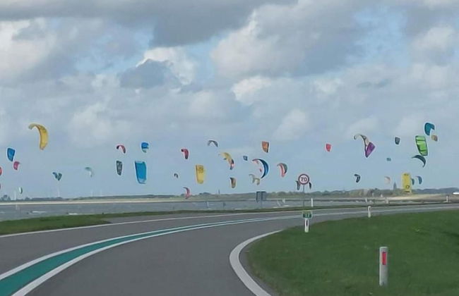 Holiday Home in Scherpenisse Near Oosterschelde - Photo 37