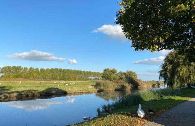 Holiday Home in Scherpenisse Near Oosterschelde - Photo 41
