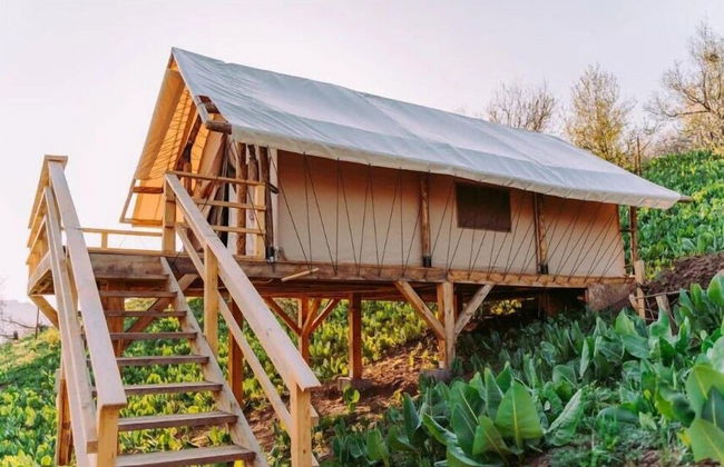 Gora Glamping - Foto 1