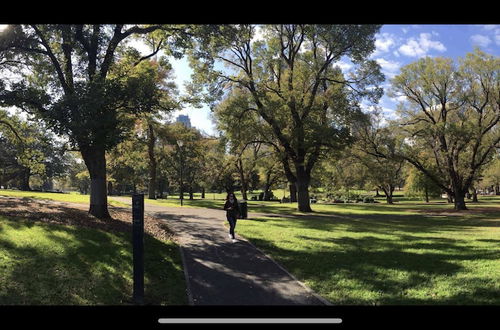 Photo 21 - Park view on the City Fringe