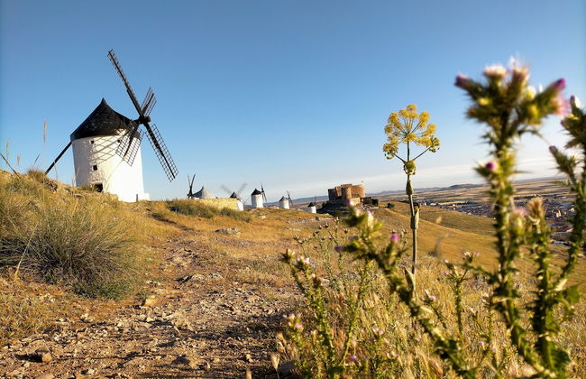 Azafrán Consuegra Casa Rural - Foto 32