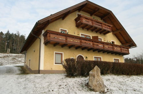 Photo 25 - Apartment in Carinthia Near the ski Area