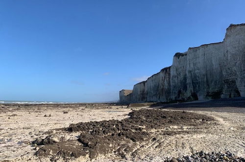 Photo 41 - Parc Beausejour Dieppe