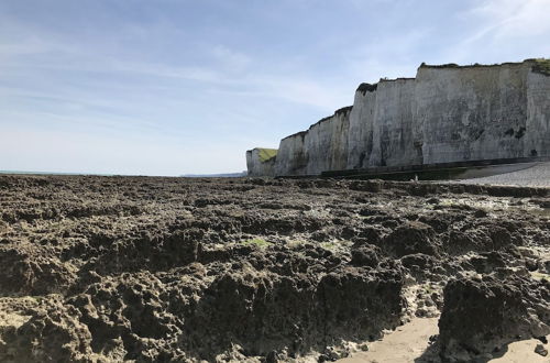 Foto 47 - Parc Beausejour Dieppe