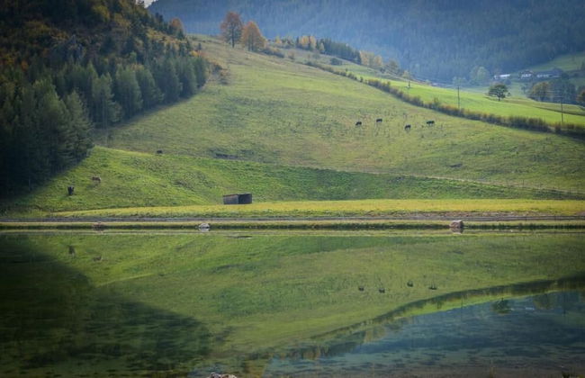 Chalet am Schneeberg See - Foto 58