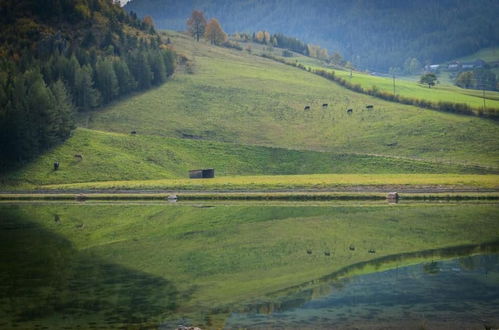 Photo 57 - Chalet am Schneeberg See