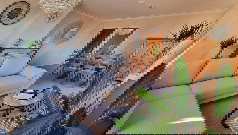 Image principale