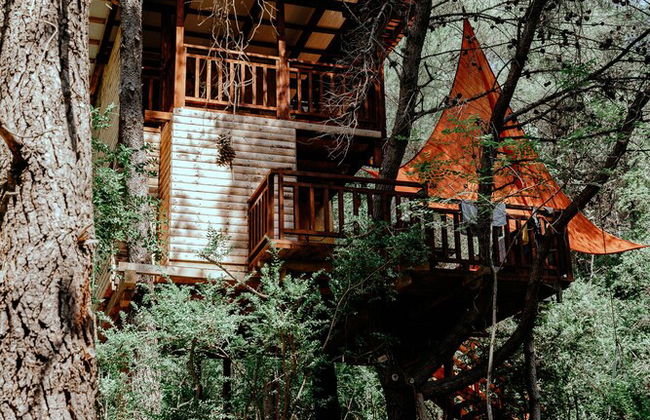 TreeHouses Ljubač Glamping Robinson - Foto 7