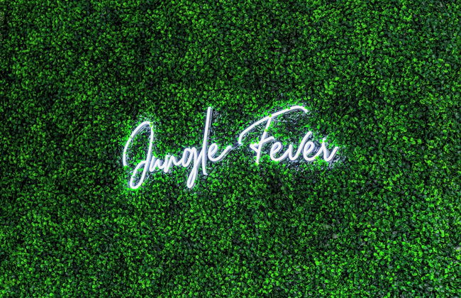 Jungle Fever - Foto 56