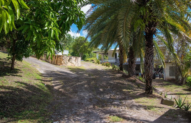 Ego Guesthouse - Foto 15