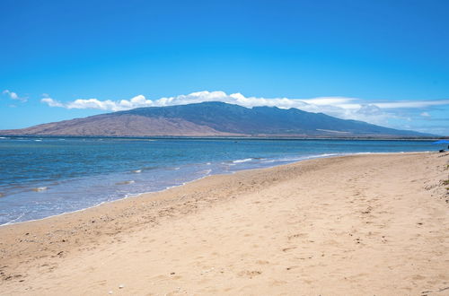 Photo 37 - Sunny and Soothing Oceanfront Vistas