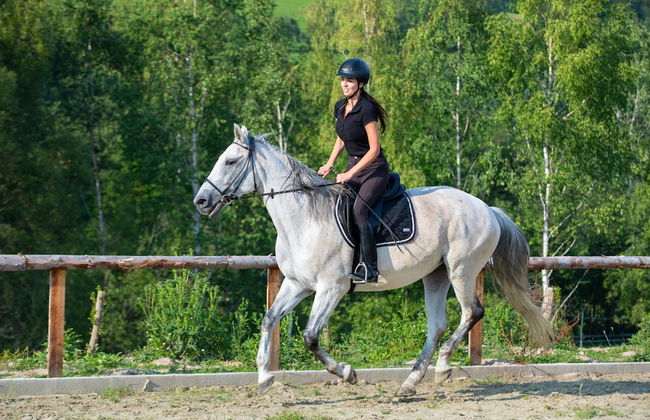 Końska Dolina - Foto 56