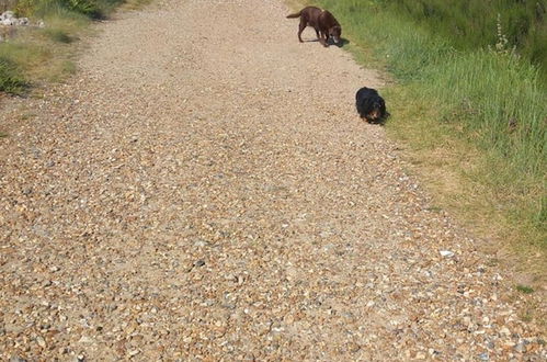 Foto 18 - Seaside Haven Retreat in Bognor Regis Elmersands