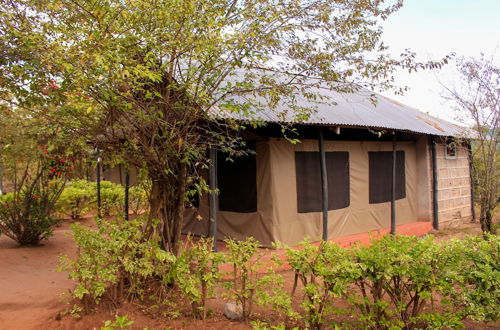 Photo 2 - Mara Forest camp