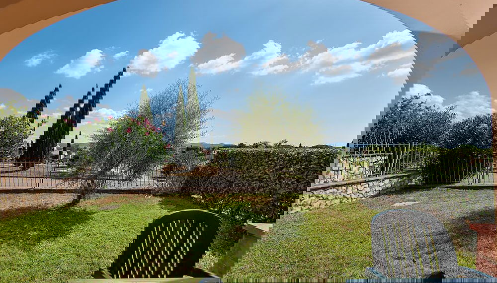 Imagem principal