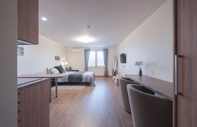 Gynėjų Apartments - Lollo Luxury - Foto 6