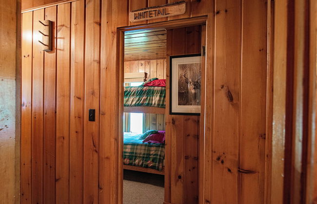 Cozy Riverside Getaway Pine Bend Cottage - Photo 1