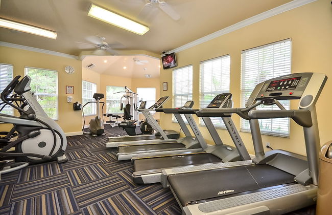 8213 Fan Palm Way - Photo 12